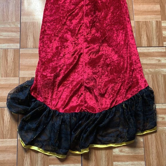 Donated Flamenco Spanish Dancer Costume w/ Shawl - Adult OS LNC - Picture 12 of 15